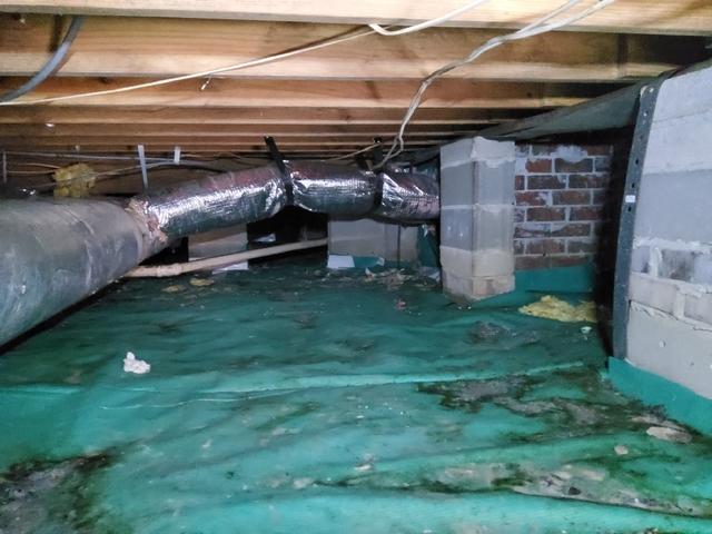 Wet Nasty Crawl Space