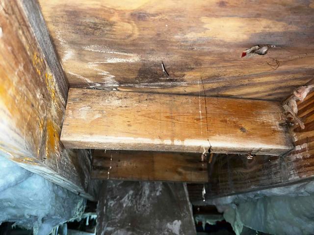 Fiberglass + Humidity = Wood Rot & Mold