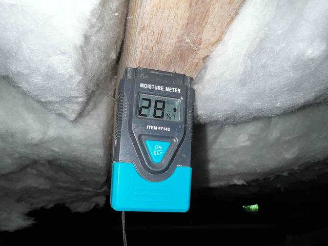 Very High Wood Moisture