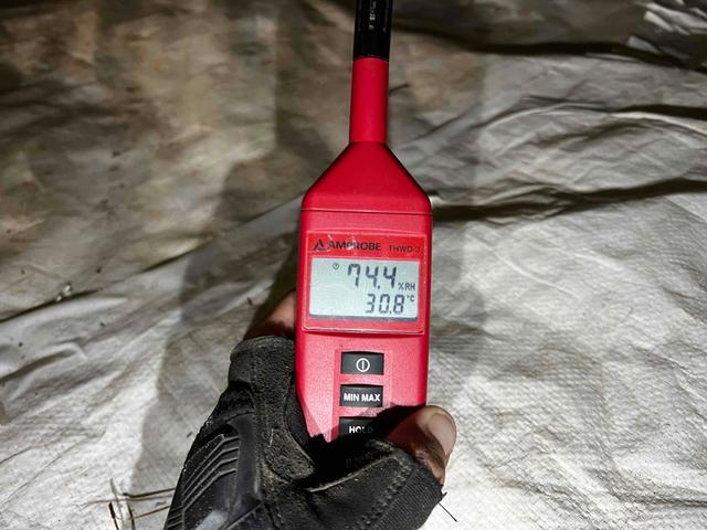 High Crawl Space Humidity