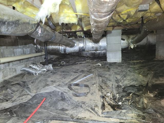 Dehumidifier Keeps Humidity Down