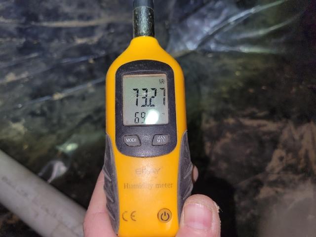 High Humidity Levels