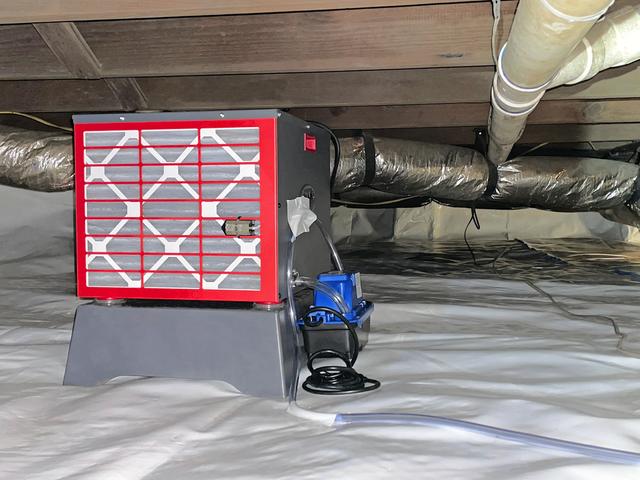 SaniDry Sedona Dehumidifier