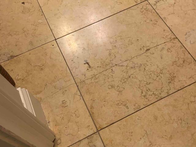 Tile Crack in Bathroom