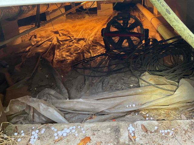 Crawl Space Entrance