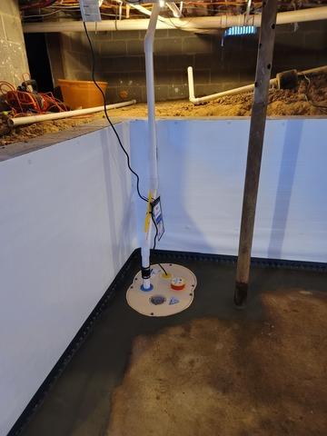 TripleSafe Sump Pump System