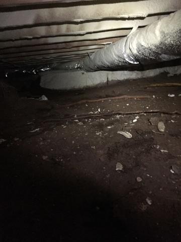 Wet Crawl Space