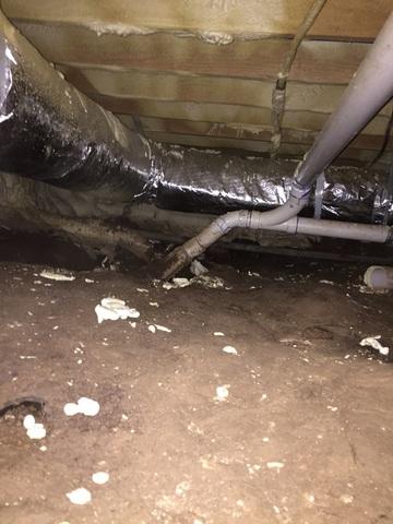 Dirty Crawl Space