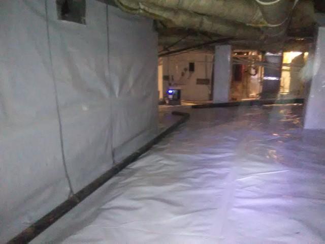 Large CleanSpace Crawl Space