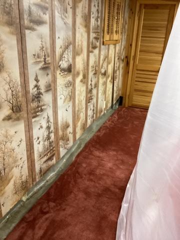 Wet, Old, Carpet...