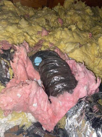 Attic Insulation Before