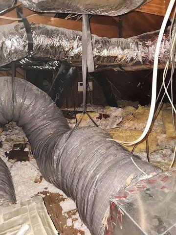 Attic Insulation Before