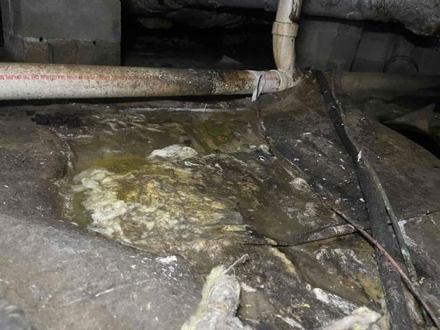 Gross Sewage Leak