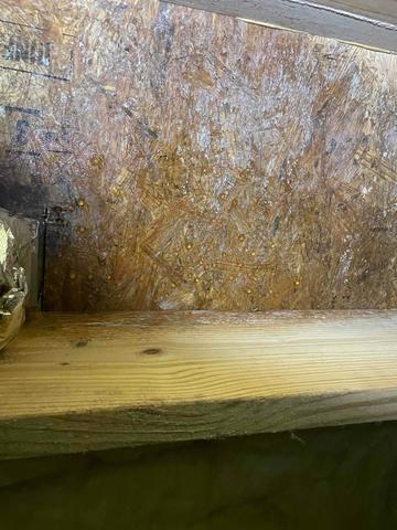 Condensation Dripping From Subfloor