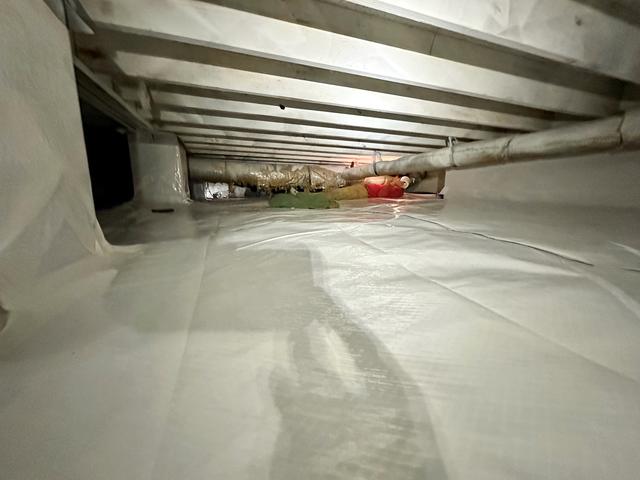 After CleanSpace Encapsulation