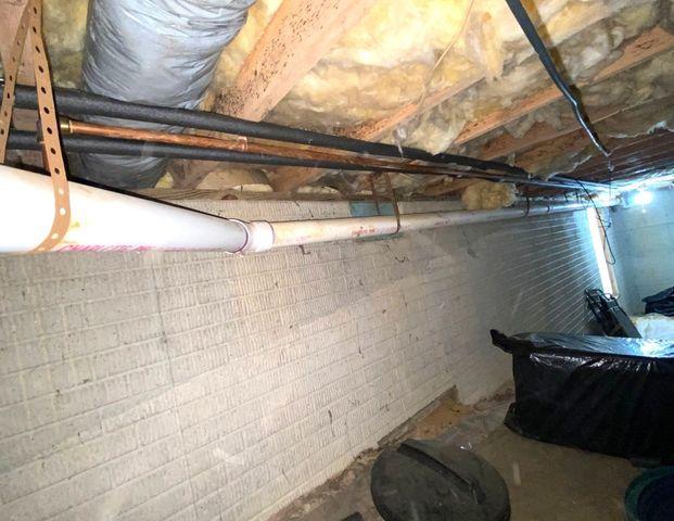 The old insulation in this crawl space was wet from the excessive moisture in the air and mold growth had started on some of the wooden framing in the crawl space ceiling.