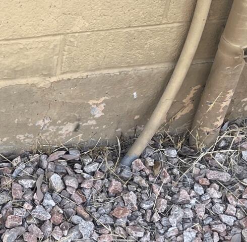 Signs of Stem Wall Failure: Flaking Paint