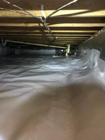 SilverGlo and CleanSpace