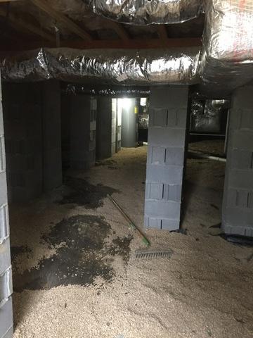 Tall Crawl Space