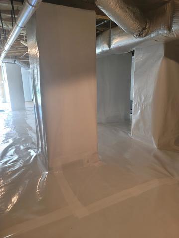 CleanSpace