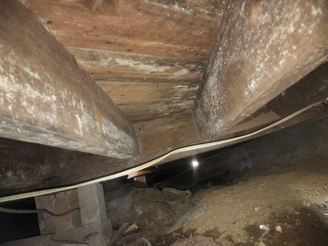 Moldy Crawl Space