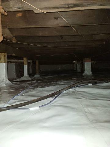 After CleanSpace Encapsulation