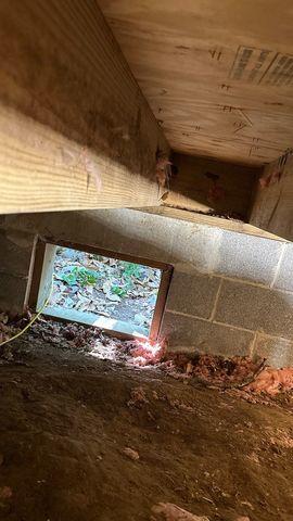 Crawl Space Clean Up