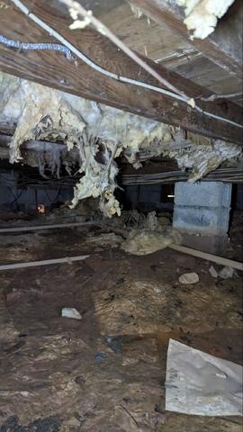 Crawl Space Before