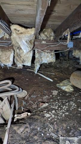 Damp and Dirty Crawl Space