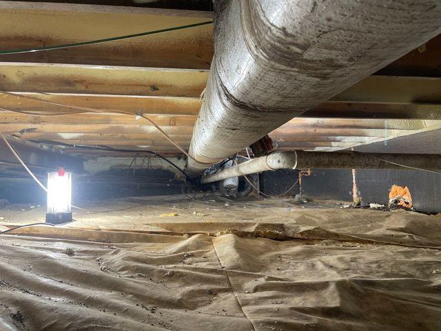 Crawl Space Repair Needed