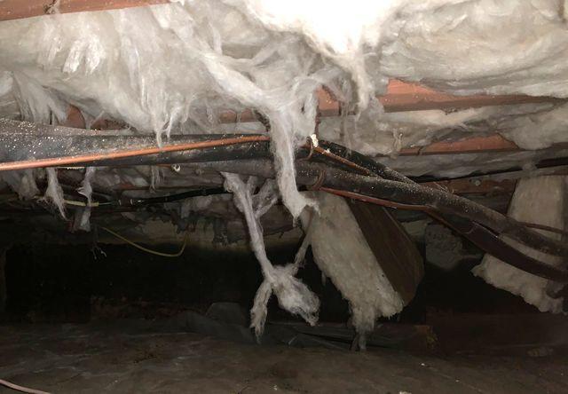 Crawl Space Insulation Removal Needed