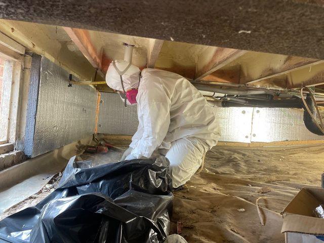 Crawl Space Repair in Progress