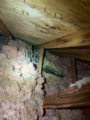 Attic Insulation Removal