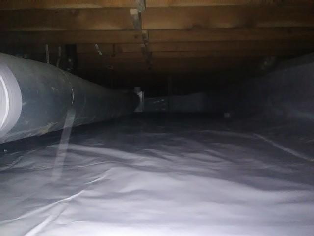 CleanSpace