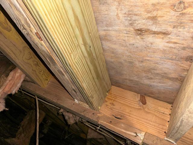 A photo showing a view of a newly installed treated joist in another area of the home. The wood is smooth and free of rot or damage, providing a solid foundation for the floor above.