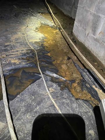 Standing Water