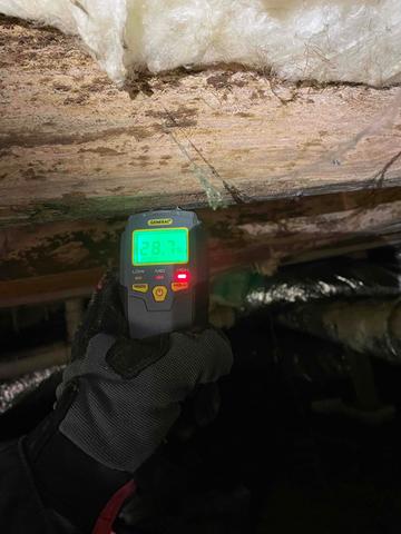 High Wood Moisture Reading