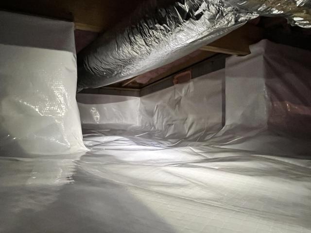 CleanSpace Encapsulation