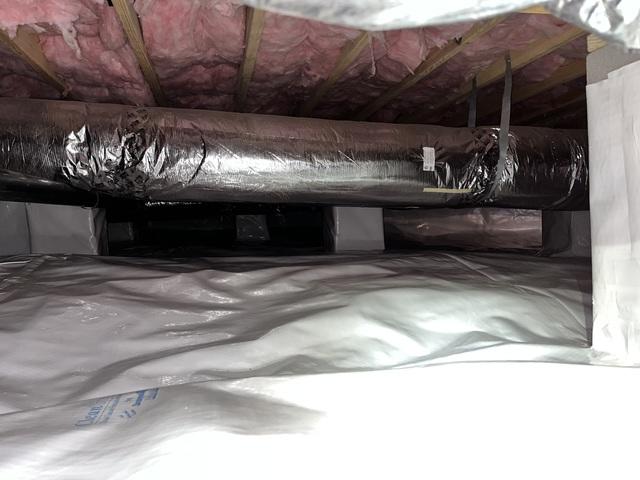 Bright White CleanSpace