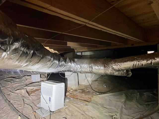 Vapor Barrier