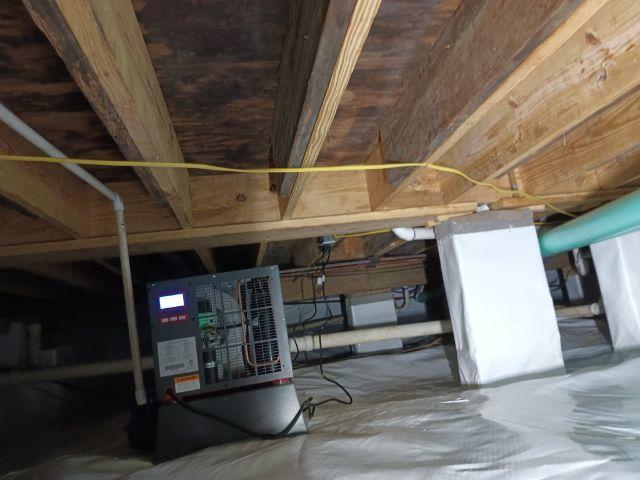 CleanSpace and SaniDry