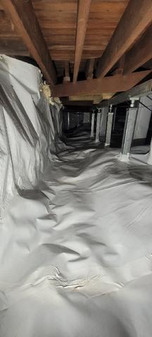 CleanSpace and SmarJacks