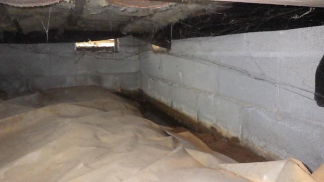 Moisture in Crawl Space