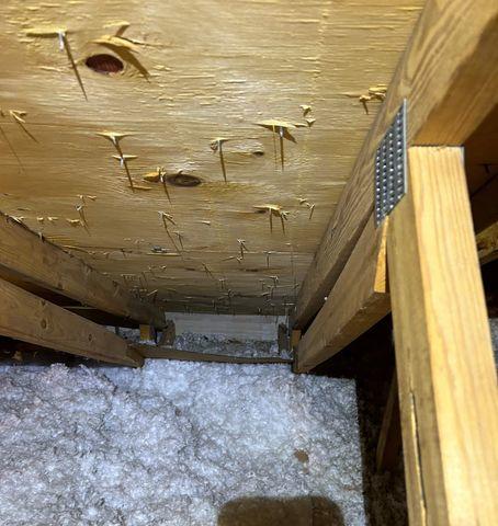 Old Insulation