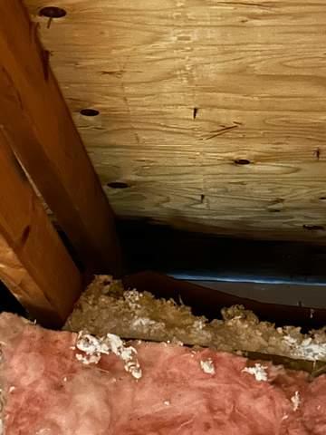 Old Insulation