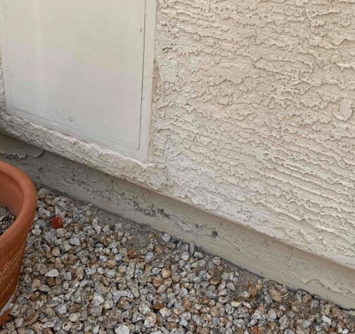 Signs of Stem Wall Failure: Flaking Paint