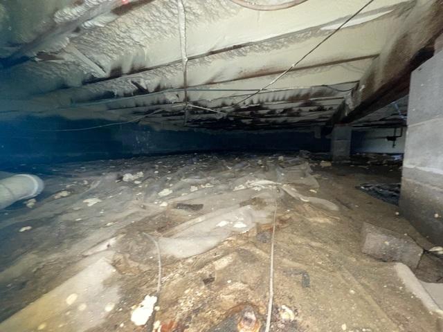Crawl Space Before