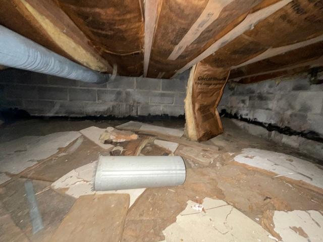 Crawl Space Before