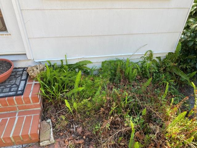 Pre-installation: Exterior Foundation