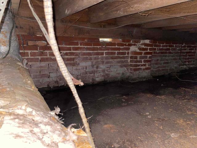 Standing Water in Crawl Space